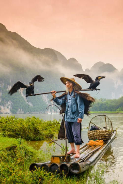 Hombre sobre una balsa con cormoranes frente a montañas de Yangshuo cubiertas de niebla